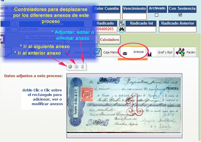 Anexos o datos adjuntos a  cada proceso