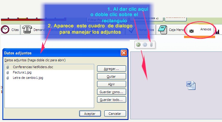 Anexos o datos adjuntos a cada proceso