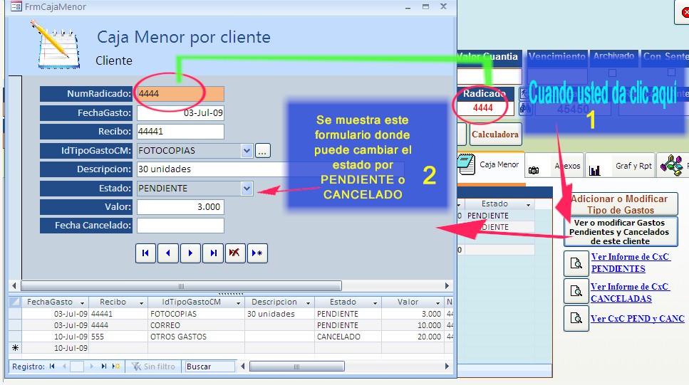 Caja menor por cliente